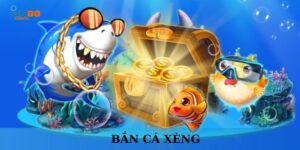 ban-ca-xeng