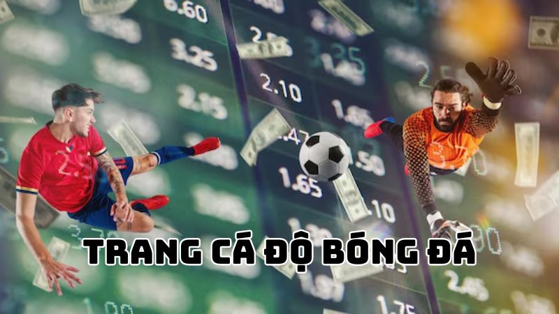 ca-cuoc-the-thao-dkbl