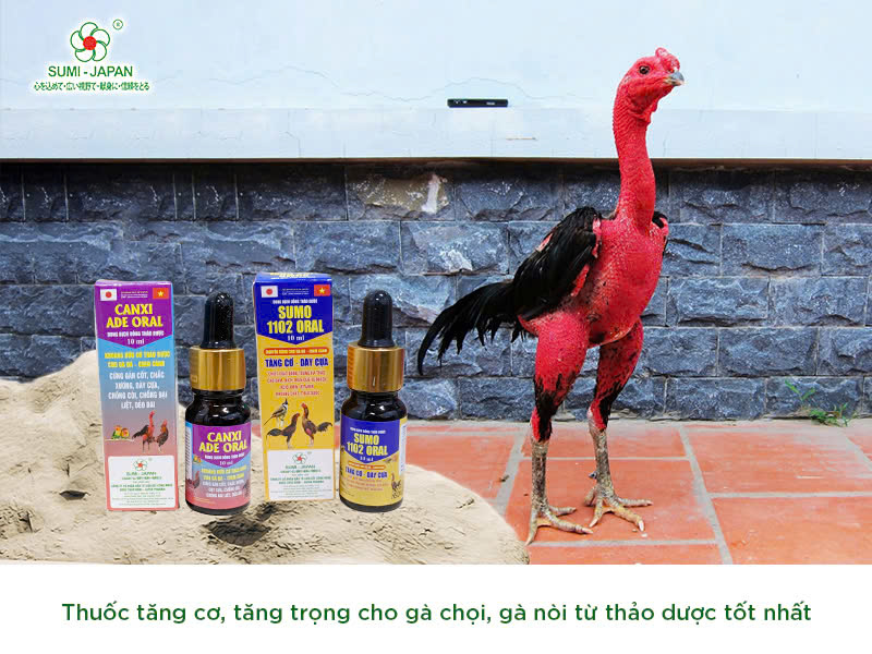 thuoc-nuoi-ga-da-tot-nhat-hien-nay