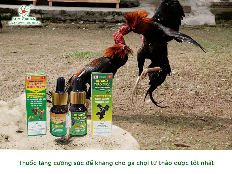 thuoc-nuoi-ga-da-tot-nhat-hien-nay